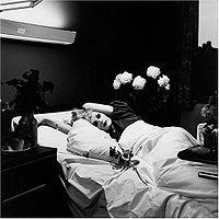 Antony & The Johnsons